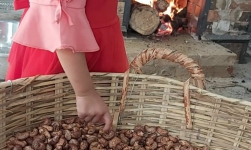 Hạt Điều Minh Quyên Bình phước