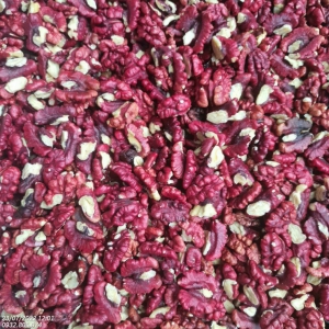 Óc Chó Đỏ Mỹ TÚI 500g