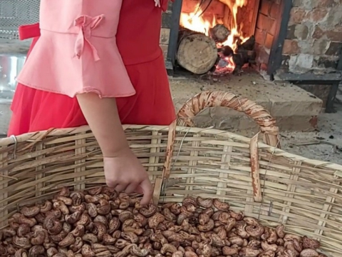 Hạt Điều Minh Quyên Bình phước