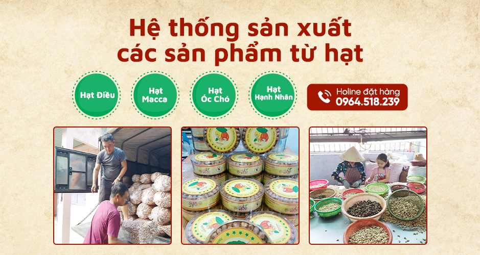 Hạt macca bình phước